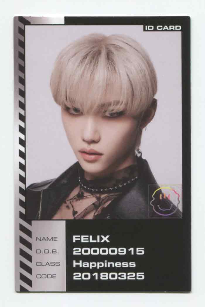 STRAY KIDS - ODDINARY Album ID CARD OFFICIAL PHOTOCARD – KPOP MARKET