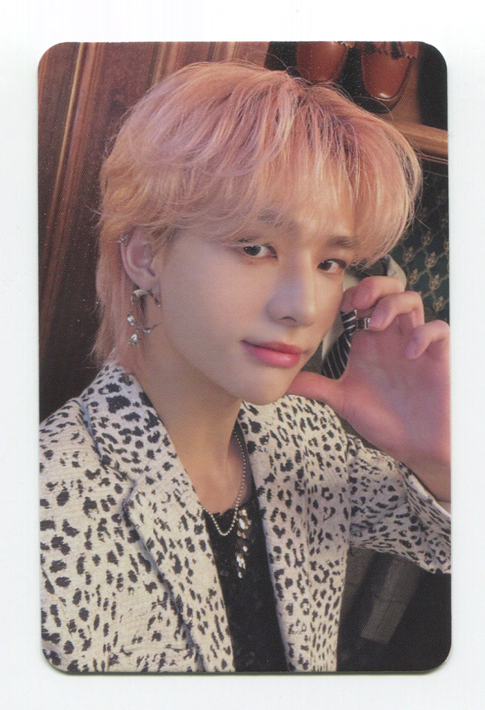 STRAY KIDS OFFICIAL 5-STAR Official POB Photocards