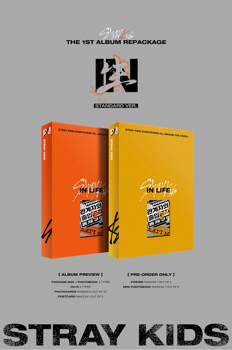 STRAY KIDS - IN生 Standard Edition (Vol.1 Repackage) Album – KPOP