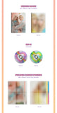 APINK CHOBOM CHORONG & BOMI - 1st Single Album Copycat CD