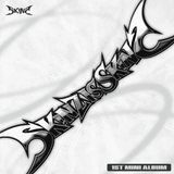 Skinz - 1st Mini Album SKINZ IS SKINZ CD