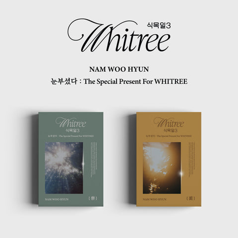 NAM WOO HYUN - Dazzling : The Special Present for WHITREE Arbor day 3 Live version USB Album