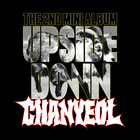 [EXCLUSIVE POB] Chanyeol - 2nd Mini Album Upside Down Photobook version CD+Pre-Order Gift