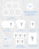 Pow - Single Album Come True Compact version CD+Folded Poster