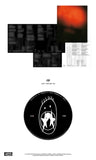 Crush - Fang CD