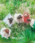 MARIE CLAIRE Korea Magazine July 2024+Red Velvet Book