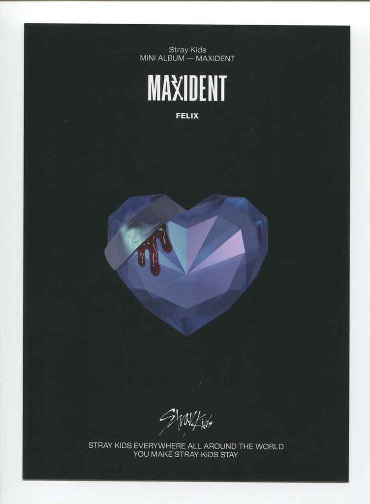 Stray Kids (Maxident) Album Cover Poster - Lost Posters