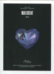STRAY KIDS - MAXIDENT Album OFFICIAL Mini Poster