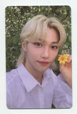 STRAY KIDS - NOEASY 2nd Album Limited OFFICIAL PHOTOCARD