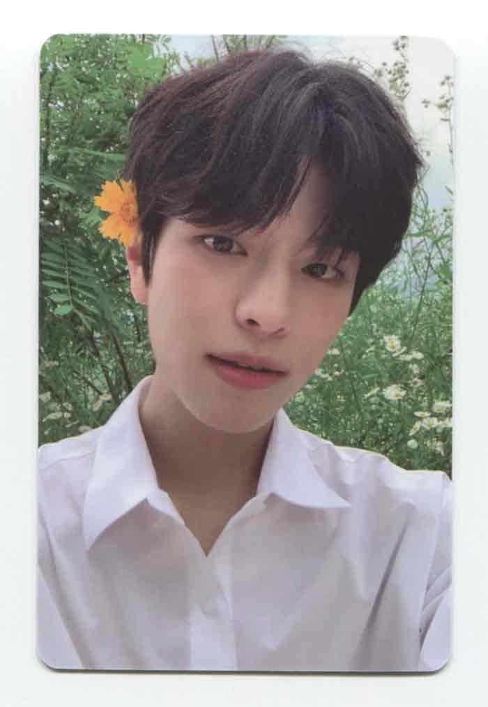 STRAY KIDS - NOEASY LIMITED OFFICIAL PHOTOCARD – KYYO