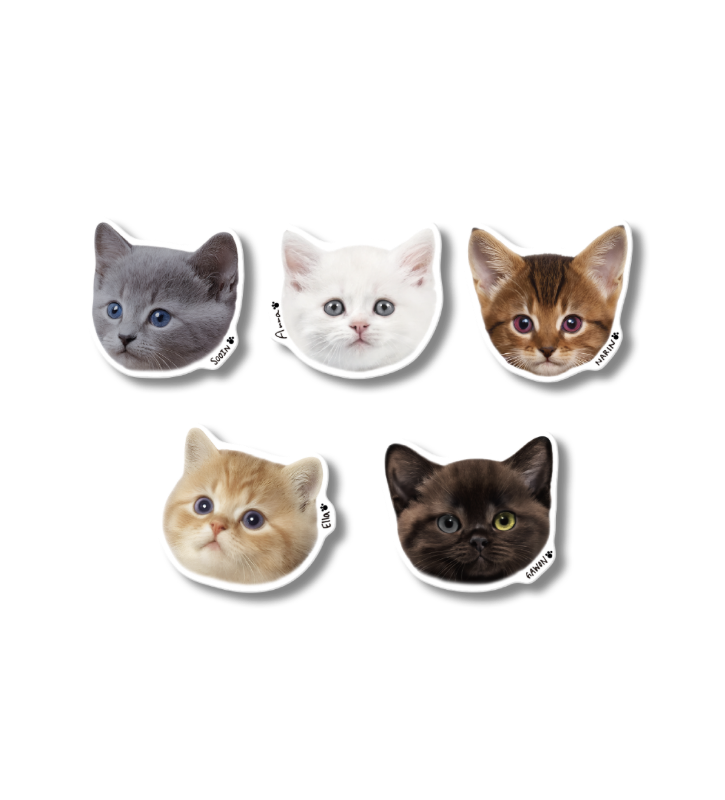 MEOVV MEOW Album Photocards 5Pcs/Set – Kpop Exchange