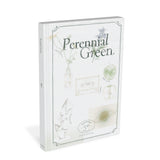 RIO - PERENNIAL GREEN CD