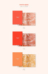 ENHYPEN - MANIFESTO : DAY 1 CD + Extra Photocards Set